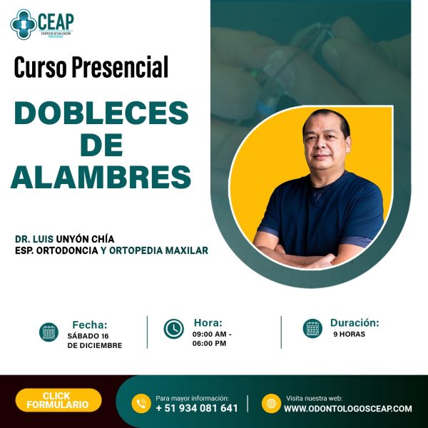Curso Dobleces de Alambres