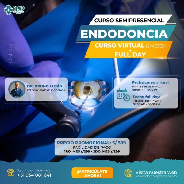 Curso Semipresencial Endodoncia