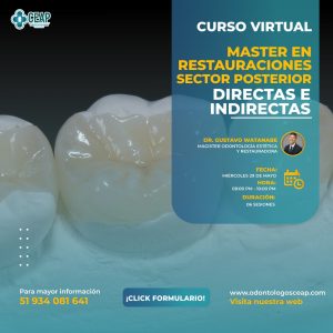 Curso Master en Restauraciones Sector Posterior Directas e Indirectas