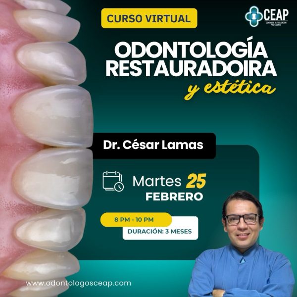 Curso Odontología restauradora y estética