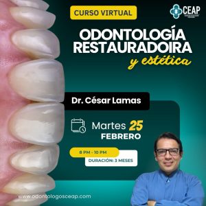 Curso Odontología restauradora y estética - Dr Lamas