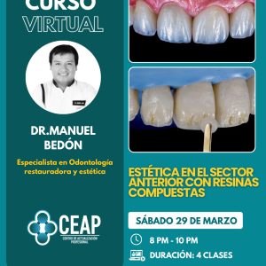 Curso Estética en el sector anterior con resinas compuestas