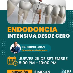 Curso Endodoncia intensiva desde cero 09.25