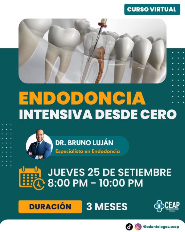Curso Endodoncia intensiva desde cero 09.25